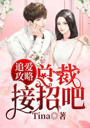 追爱攻略:总裁接招吧