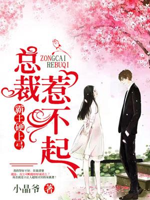 霸王硬上弓:总裁惹不起