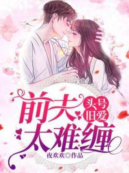 头号旧爱:前夫太难缠
