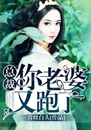 总裁你老婆又跑了