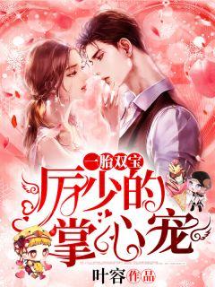 一胎双宝:厉少的掌心宠