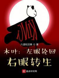 木叶:左眼轮回,右眼转生