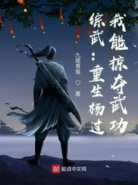 综武:重生杨过,我能掠夺武功杨过