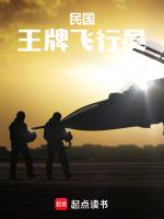 民国:王牌飞行员