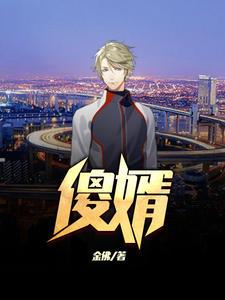 傻婿(陈旭白亦清)