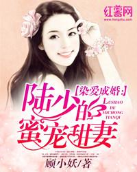 染爱成婚:陆少的蜜宠甜妻